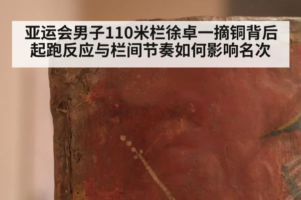 亚运会男子110米栏徐卓一摘铜背后 起跑反应与栏间节奏如何影响名次